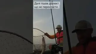 Коли не вистачає слів..! #shorts