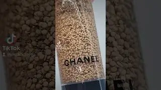 Chanel Les Beiges Touche De Teint Water-Fresh Complexion Touch - B10