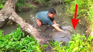 CARA PALING CEPAT DAPAT IKAN DISUNGAI