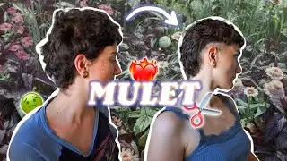 Comment rater sa coupe TOUTE SEULE et j'ai besoin de votre avis !