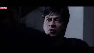 Don Trailer 2006