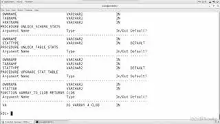 001 Using DESCRIBE in SQL Plus