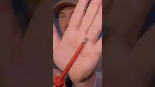 The Best Screwdriver Money Can Buy 