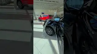 Что ты такое!? BELGEE или GEELY??