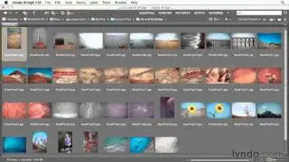 5 -  Экскурсия в рабочих пространствах Bridge  (фотошоп с нуля)