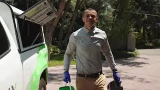 Rodent Removal