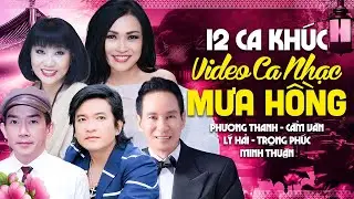 12 Ca Khúc Trong Video Ca Nhạc Mưa Hồng - CD Cực Hiếm | Phương Thanh, Minh Thuận, Cẩm Vân, Lý Hải