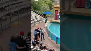 Tom the Mime | Me When My Friends have had Too Many 🤣😂🤣