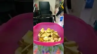 Homemade Air Fried Potatoes