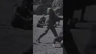 Was he the craziest man of World War 2?    https://www.youtube.com/watch?v=kP_Rc273BK8&t=326s