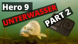 Wie gut ist die GoPro Hero 9 unter Wasser für Apnoe und Gerätetaucher | Ein kritischer Test - Teil 2