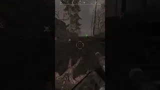 Ой ёй ёй ёй еще  редкий браслетик #stalcraft #сталкрафт #exbo  #выброс #stalcraftx