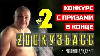 #Зоокузбасс