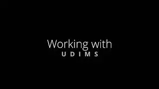 UDIM maps Tutorial ( Zbrush, Blender, Substance Painter) workflow Part 1