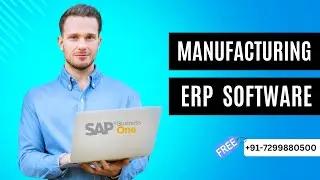 Manufacturing ERP | SAP Manufacturing -  Zyple Software