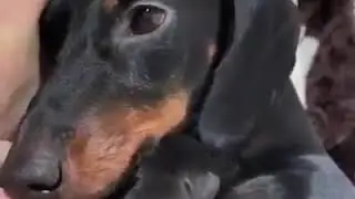 мама мама мама это люблю любить любовь тепло радость нежность любовь нежность заботу нежность