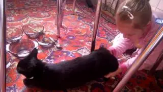 VID 20151213 103036