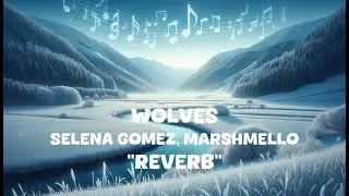Selena Gomez, Marshmello - Wolves (Reverb Lyrics)