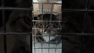 Василёчек наш. Съездили к нашему доктору.