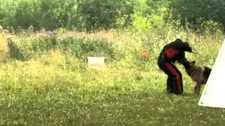 MOV02442