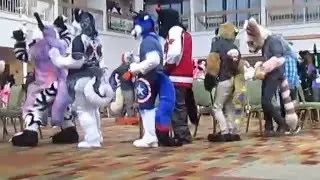 RMFC 2015 Fursuit Games