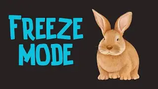 Freeze Mode/Brain Retraining/Anxiety