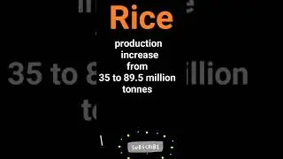 #wheat semi dwarf varieties #Rice semi dwarf varieties #strategies for enhastment #Neet#Biology#mtq