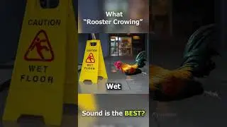 What "Rooster Crowing" Sounds is the Beast
