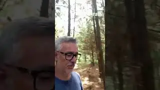A Floresta | Parte 2