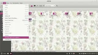 Debian 12 With The Budgie Desktop And Caja File Manager.