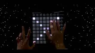 Tree Palm - I Love You La La La / LAUNCHPAD ( SOFT COVER )