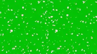flower green screen video|green screen flowers |flowers green background|green screen flowers