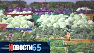 Строительство современного овощехранилища с климат-контролем завершат в этом году.