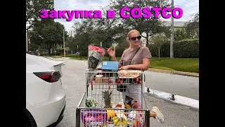 ЗАКУПАЕМСЯ В COSTCO ЛЮБИМЫМИ ПРОДУКТАМИ И ГОТОВИМ ВМЕСТЕ #costco #haul #familyvlog