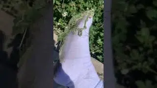 Lose your shoes - Part 2