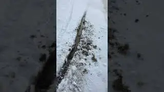 зима