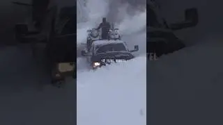 Что за зверь?