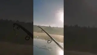 Щука с Сюрпризом 🎁 Рыбалка по быстрому 🎣🥳 #shorts #short #fishing #рыбалка