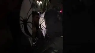 Halloween Miami 2017