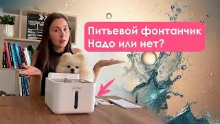 Будьте готовы к тому, что собака может не сразу оценить фонтанчик. Распаковка и тестирование.