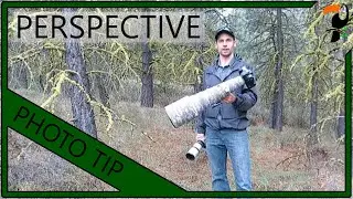 Photography Tips - Perspective