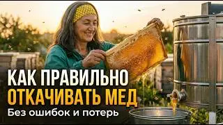 How to Properly Extract Honey: From the First Frame to the Finished Jar | The Complete Beekeeper'...