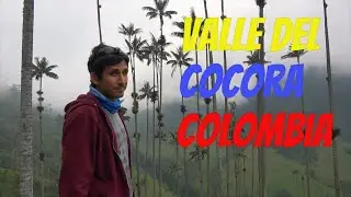 🇨🇴 VALLE DEL COCORA en el Eje Cafetero de Colombia
