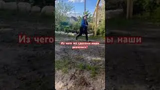 Из чего же сделаны огородники ?