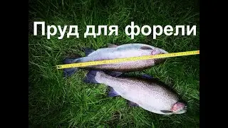 Пруд для форели (Форельня)