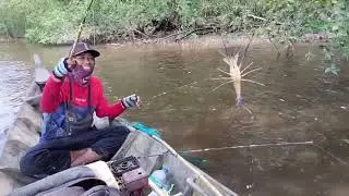 Mancing Udang Strike Ikan Enak Dan Sambil Masak Di Perahu