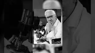 How Alexander Fleming Changed the World #Shorts