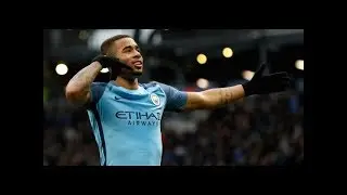 Gabriel Jesus 2016/17 ● Magic Skills, Assists & Goals ● HD
