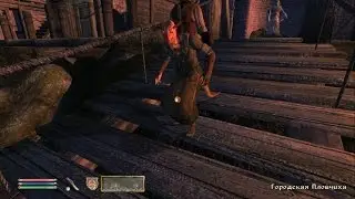 The Elder Scrolls IV: Oblivion ► Супер скрытность ► №69
