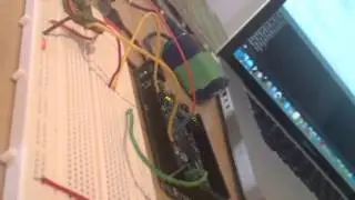 Crickets & Birds (Arduino + Processing)